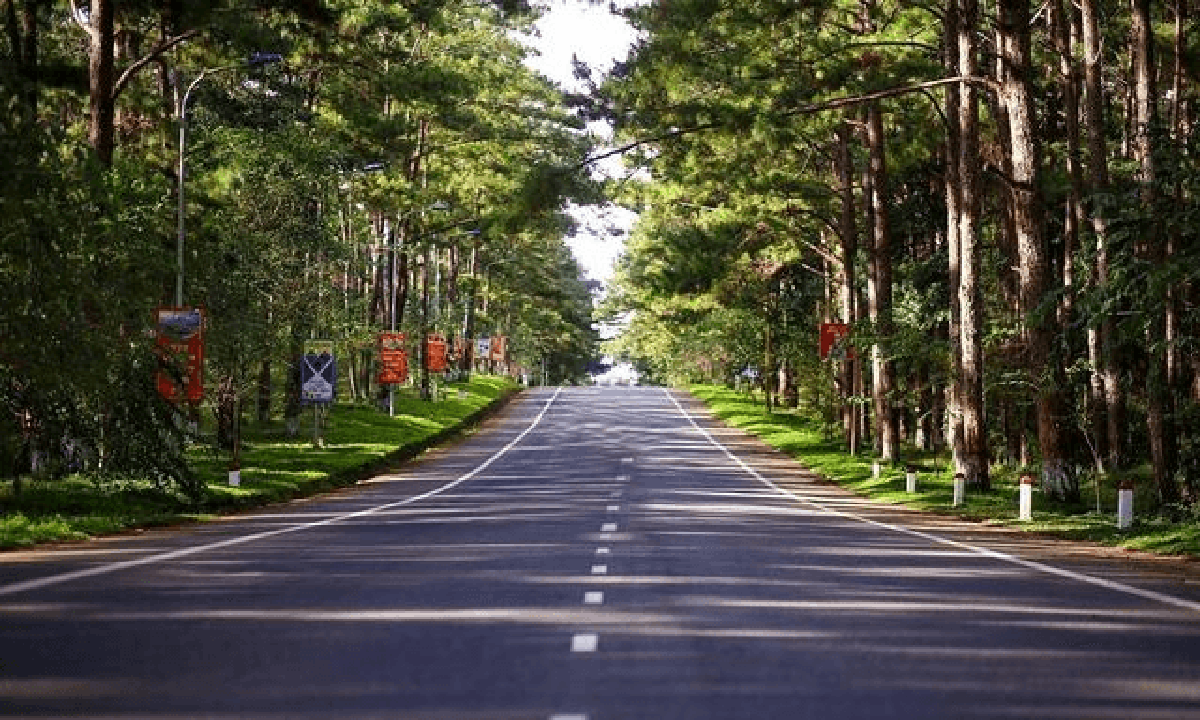 Thông tin về 2 sân bay tại tỉnh sở hữu “Đà Lạt thứ 2”: 1 trên núi và 1 trên biển
