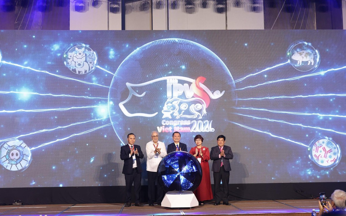 C.P. Việt Nam gợi mở hướng giảm phụ thuộc kháng sinh trong chăn nuôi heo