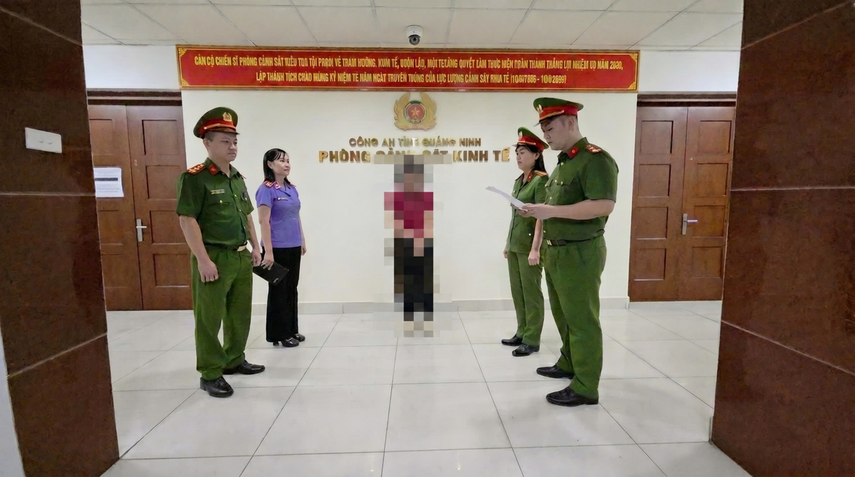 Ra quyết định khởi tố hàng loạt Giám đốc, cán bộ, nhân viên công ty