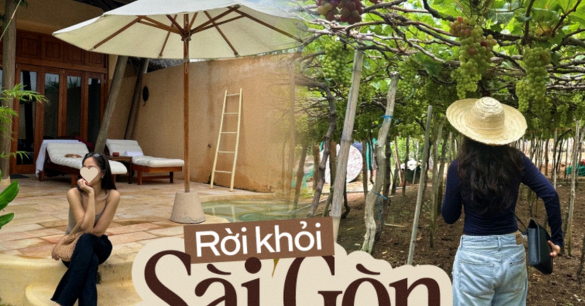 Rời Sài Gòn về Nha Trang, dù không thất nghiệp