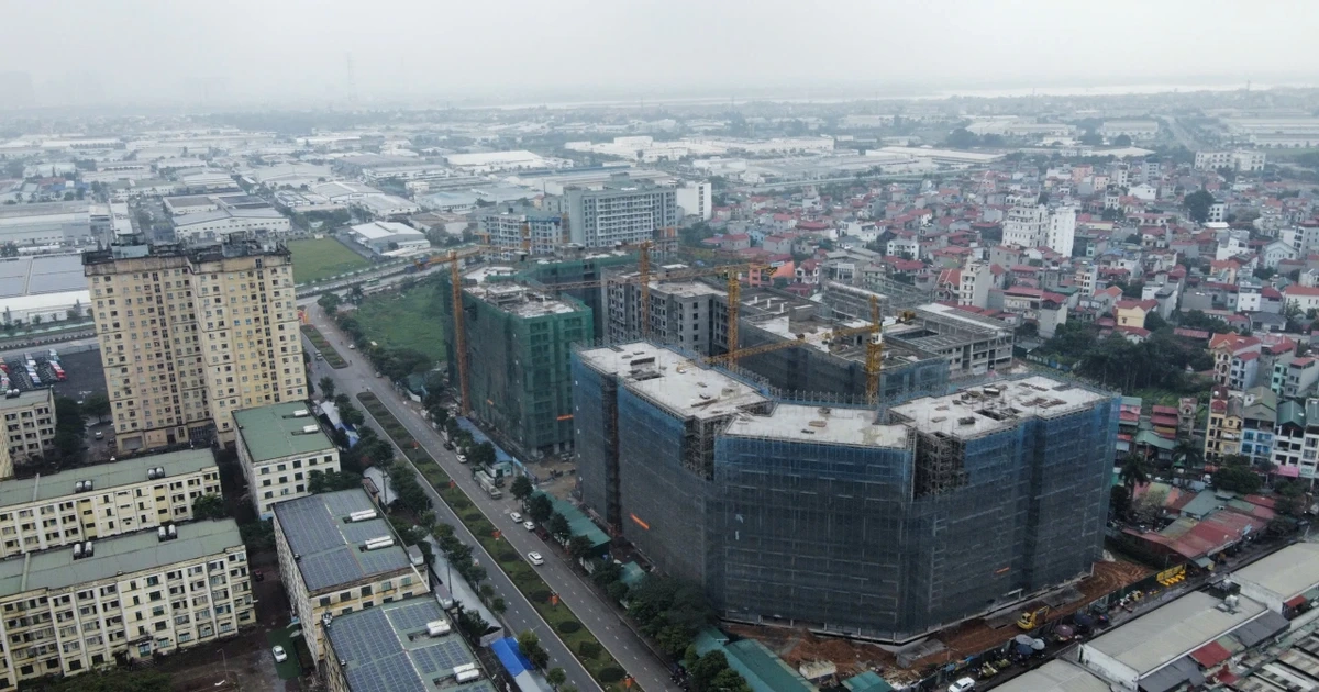 Xôn xao dân ở "khu nhà giàu" bốc thăm giành suất mua NƠXH tại Hà Nội