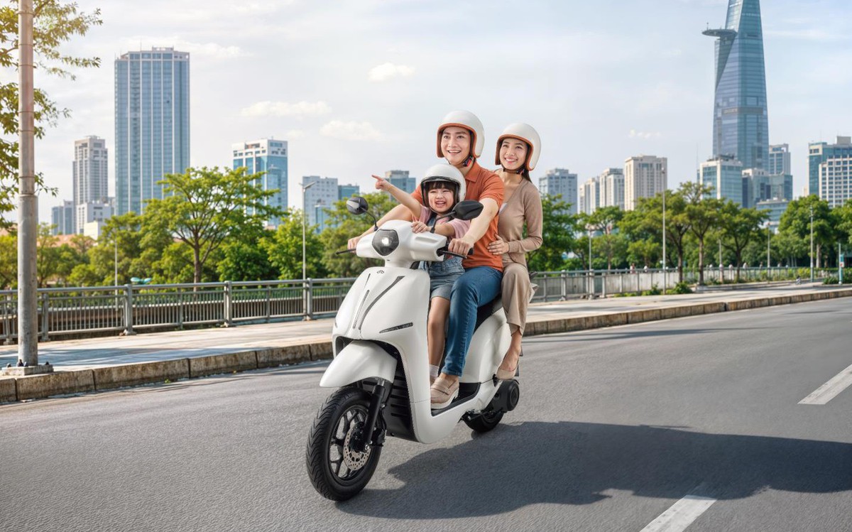 Pin lớn đi 200km, cốp vẫn rộng 50L: Dat Bike ER...