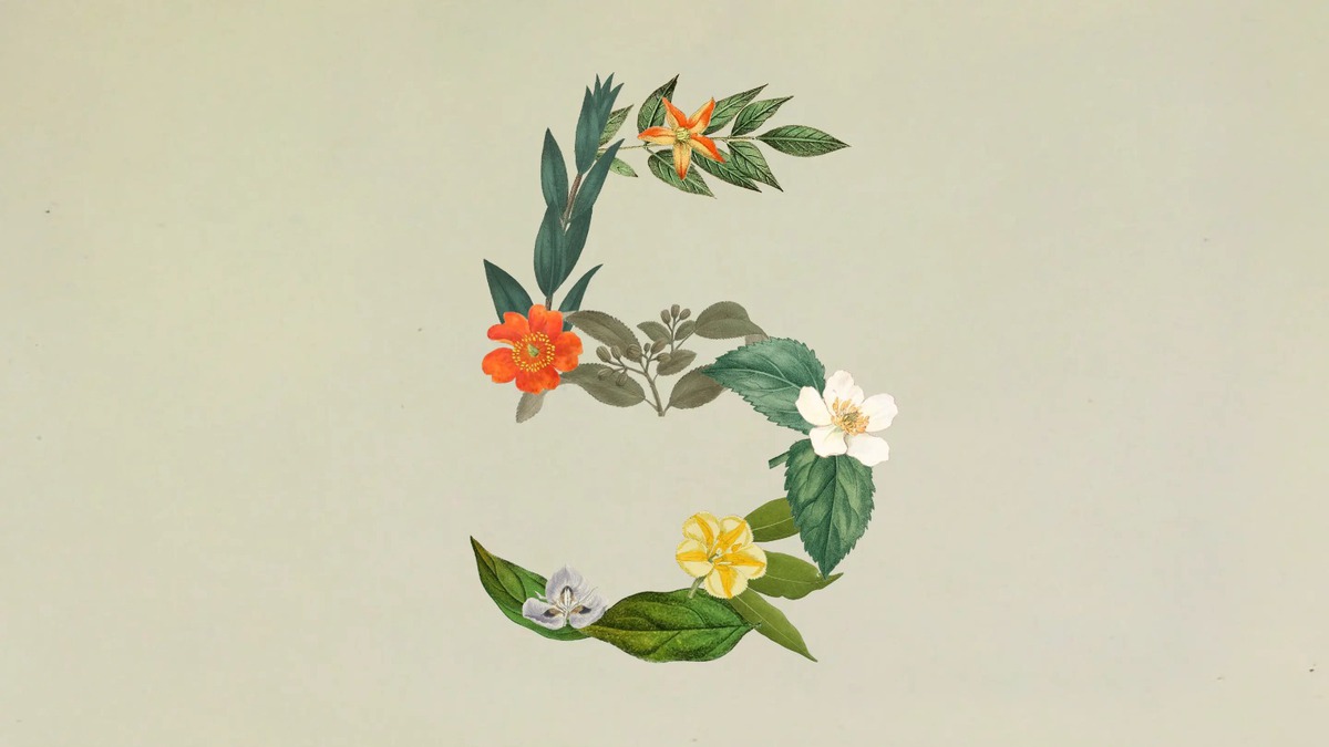 Anthropic ra mắt Claude Sonnet 5: Ngang ngửa Opus 4.8 nhưng giá chỉ bằng một nửa