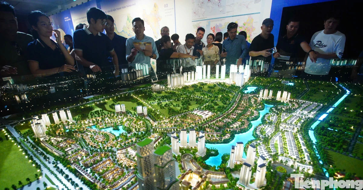 ‘Ma trận’ dịch vụ check quy hoạch: Bài 2-Cuộc sống đảo lộn, giao dịch bị hủy vì nhiễu loạn thông tin trên mạng