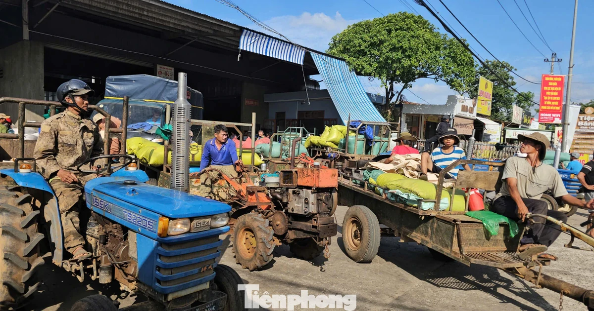 Đổ xô đi bán cà phê