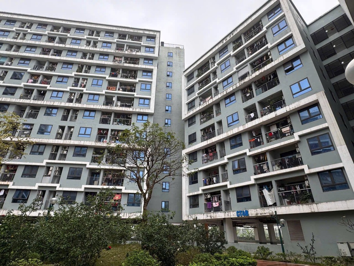 Không có bảng lương đủ liên tiếp 12 tháng, có đ...