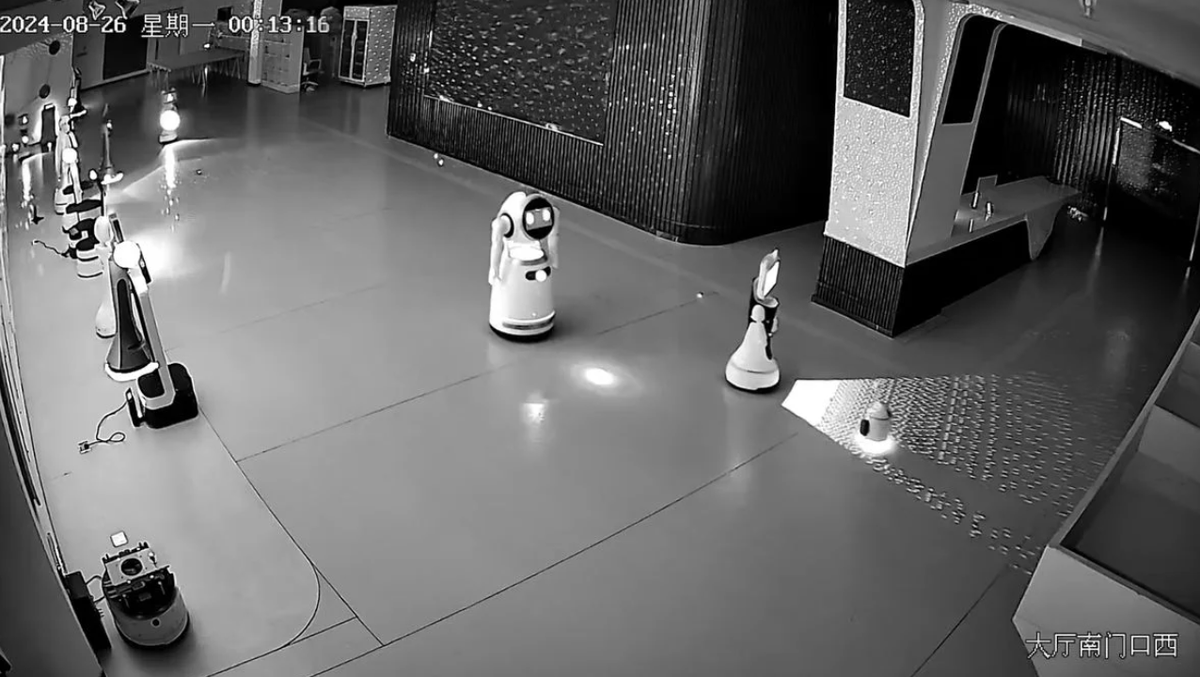 Robot tí hon "dụ" 12 robot lớn bỏ trốn khỏi phòng trưng bày lúc nửa đêm: Câu chuyện viral khiến cả Trung Quốc giật mình