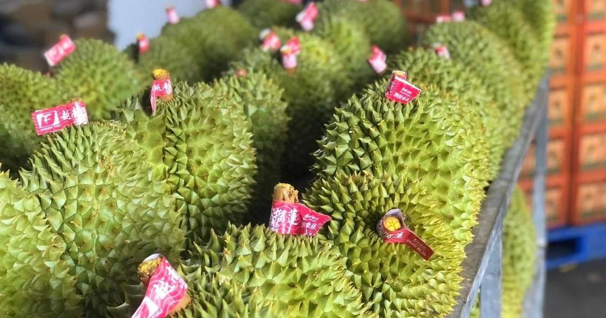 "Cuộc cách mạng" thủ tục cấp mã vùng trồng sầu riêng: Làn gió mới thúc đẩy xuất khẩu "trái cây vua"