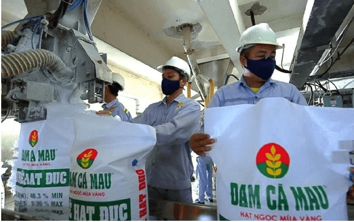 Lãi nghìn tỷ nhưng tiền lại "chảy ngược", điều gì đang diễn ra tại Đạm Cà Mau (DCM)?