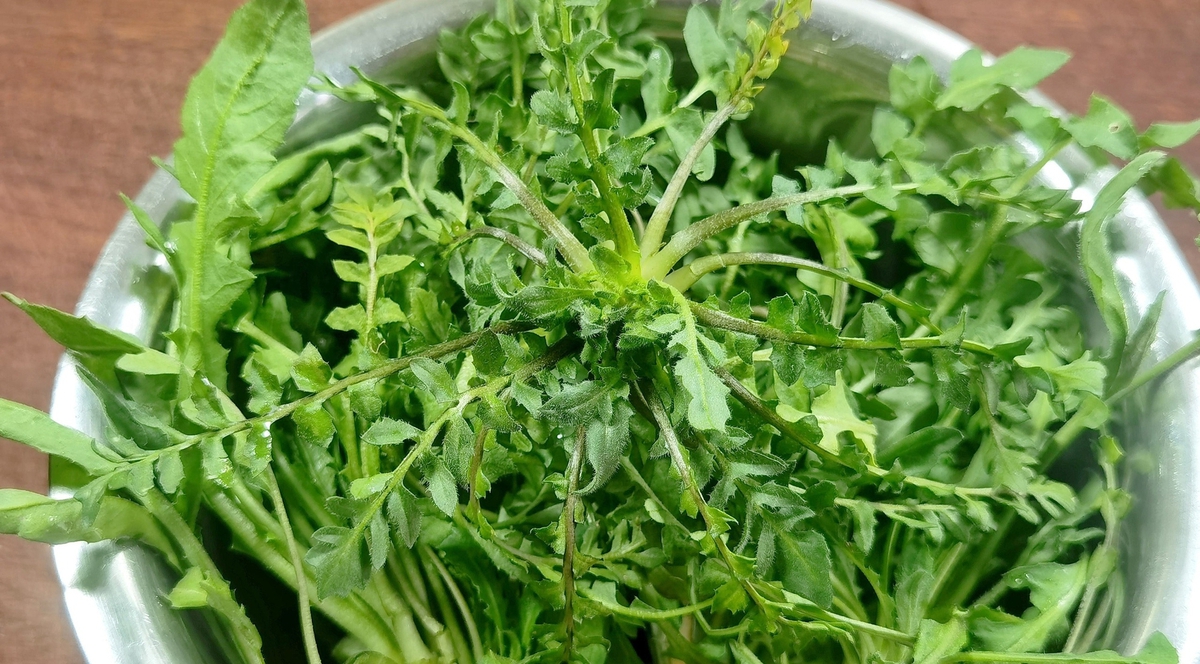 Loại rau mọc hoang đầy ở Việt Nam, cổ thư Trung Quốc ví như "tiên dược": Bổ gan, sáng mắt, hạ mỡ máu