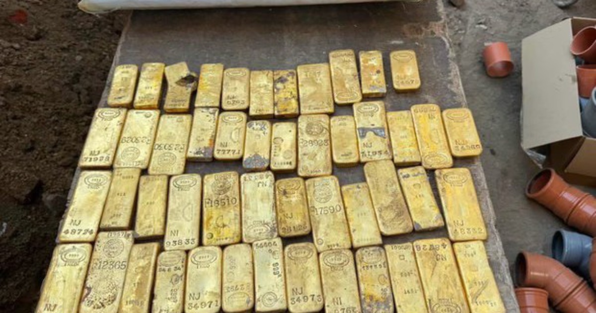 Đi làm thêm, một sinh viên 18 tuổi phát hiện loạt thỏi vàng và đồng xu trị giá 284 tỷ đồng