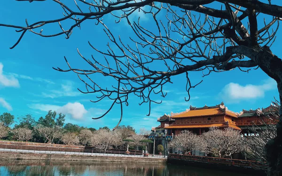 Huế miễn vé các điểm tham quan thuộc quần thể di tích cố đô Huế trong 2 ngày 19.8 và 2.9