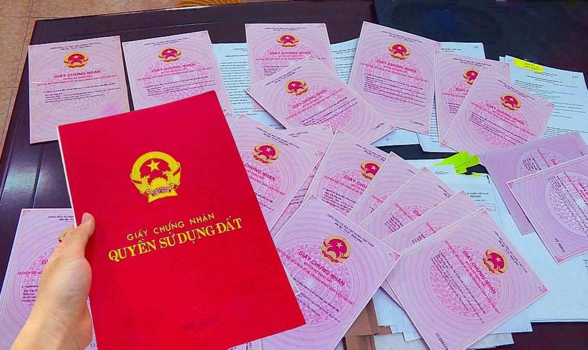 Chính phủ yêu cầu cắt giảm tối đa thủ tục đất đ...