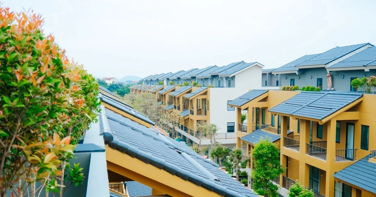 Vụ nữ Việt kiều Mỹ bị xâm hại ở Phú Thọ: Nạn nhân bị "chuốc" rượu, khống chế bằng sức mạnh