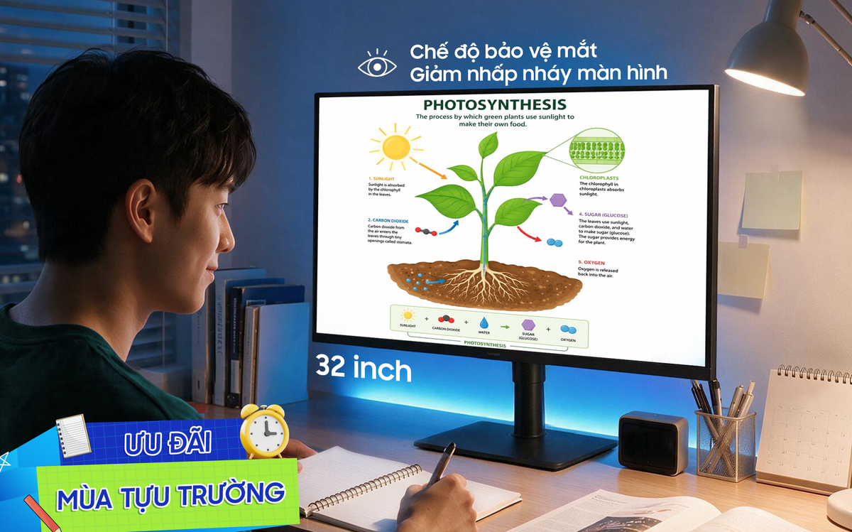 Phụ huynh đề cao tiêu chí gì khi chọn màn hình máy tính cho con?