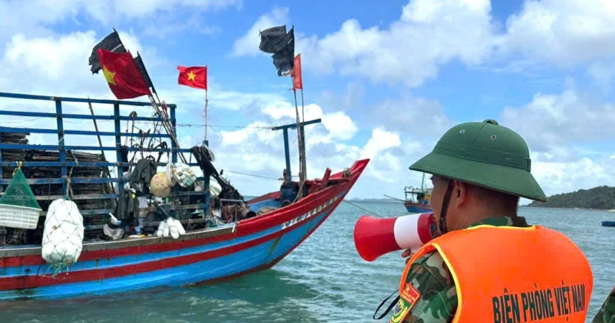 Bão số 4 áp sát, Quảng Ninh tạm dừng tham quan, lưu trú trên biển