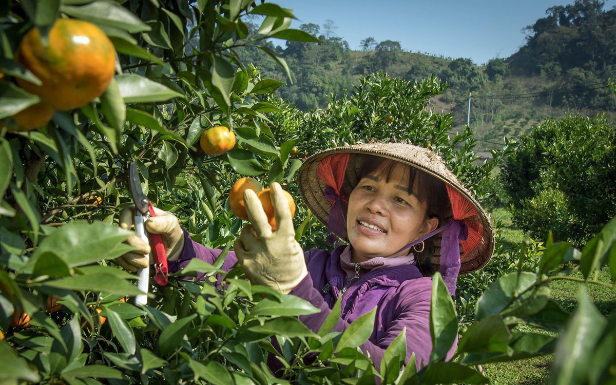 Việt Nam đứng thứ mấy trong bảng xếp hạng các n...