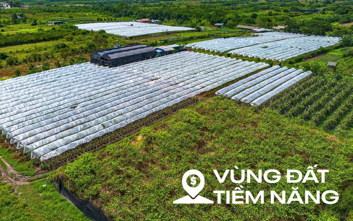 Toàn cảnh khu đất ven sông Hồng, nơi có thể xây...