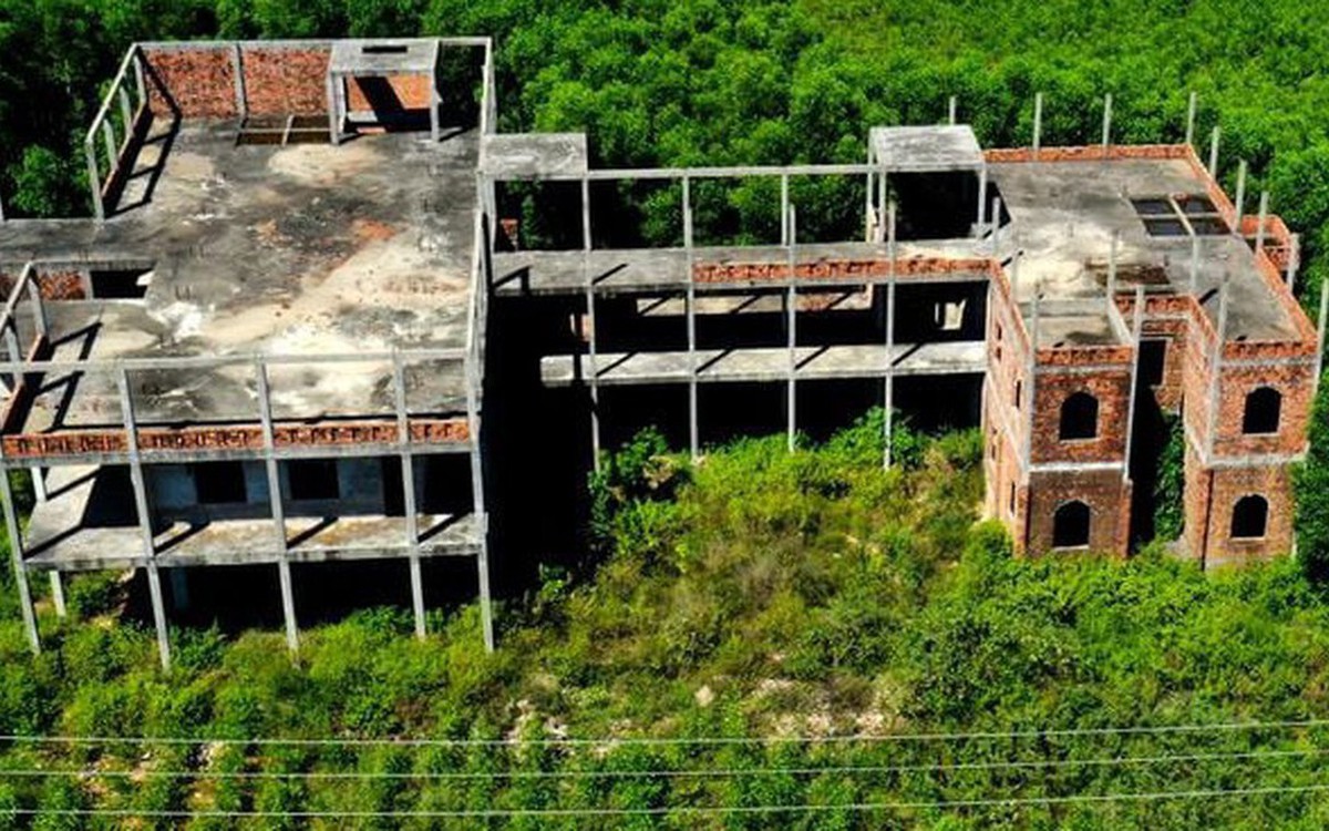 Chuyên gia hiến kế cách xử lý 200.000 ha đất và...