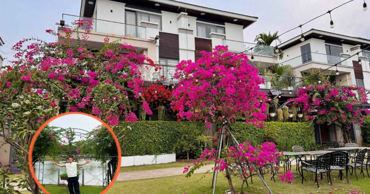 Biệt thự triệu đô của Cao Thái Sơn, thứ quý giá nhất không nằm trong nhà
