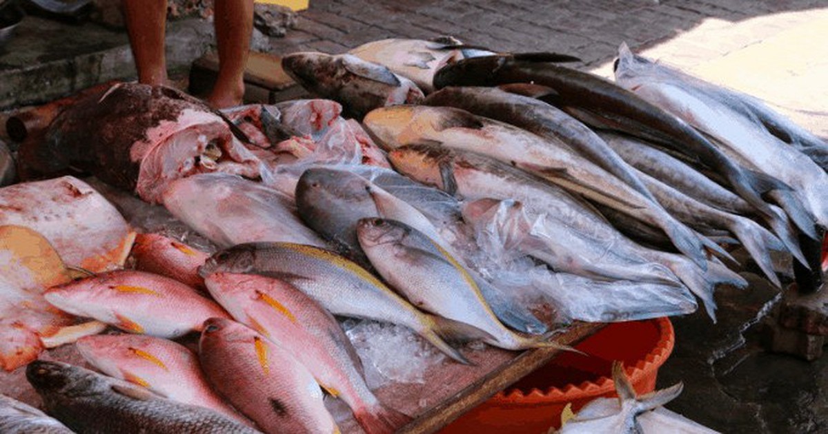 Mỹ đánh giá 6 loại cá "ngậm" nhiều thủy ngân bậc nhất