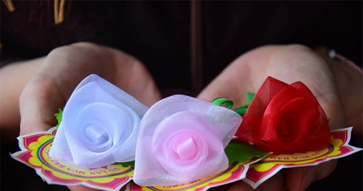 Vì sao cài hoa hồng lên áo trong ngày lễ Vu lan?