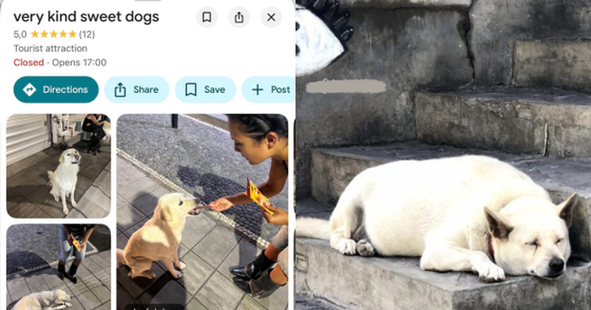 Địa điểm lạ trên Google Maps ở Bali: Không có h...