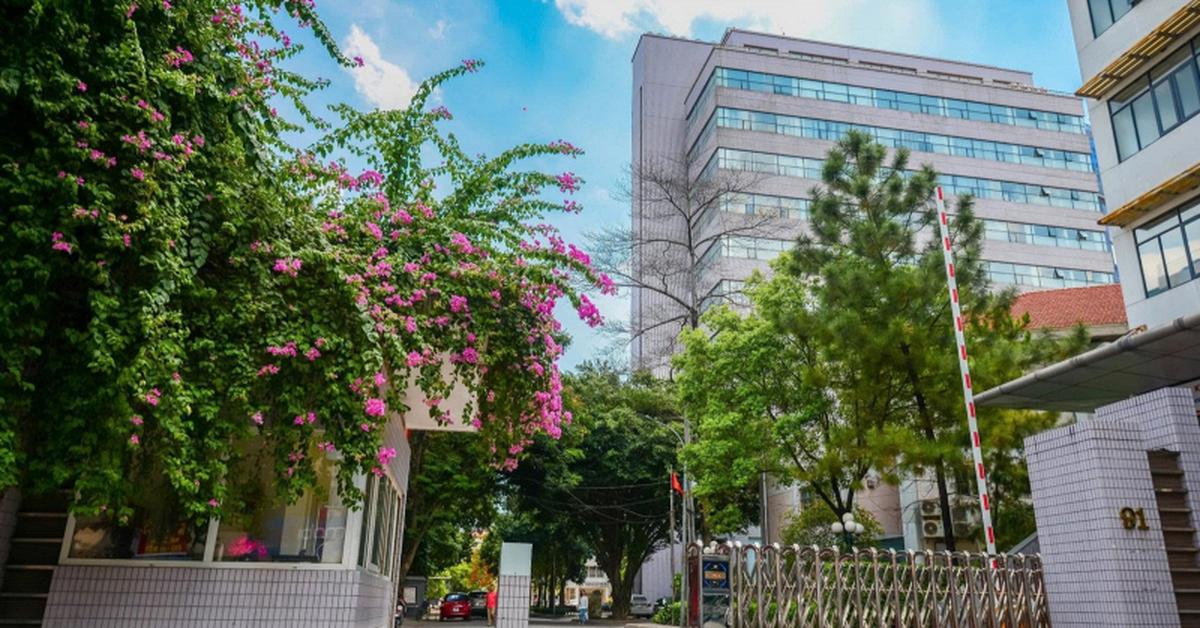 Đúng 3/8, "Harvard Việt Nam" thành lập 4 trường thuộc đầu tiên, mục tiêu mở tổng cộng 7 trường