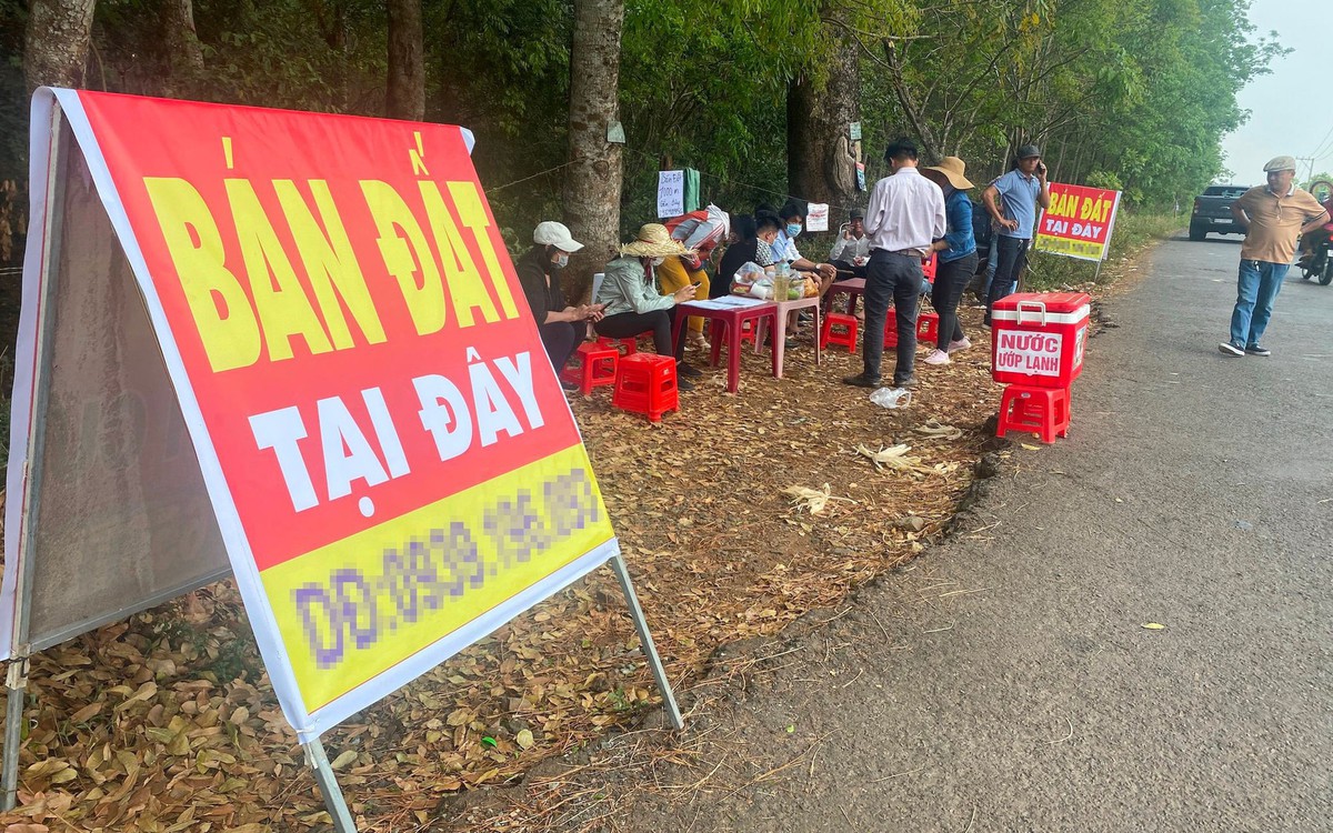 260.000 ‘cò đất’ , môi giới tự do đang hành ngh...