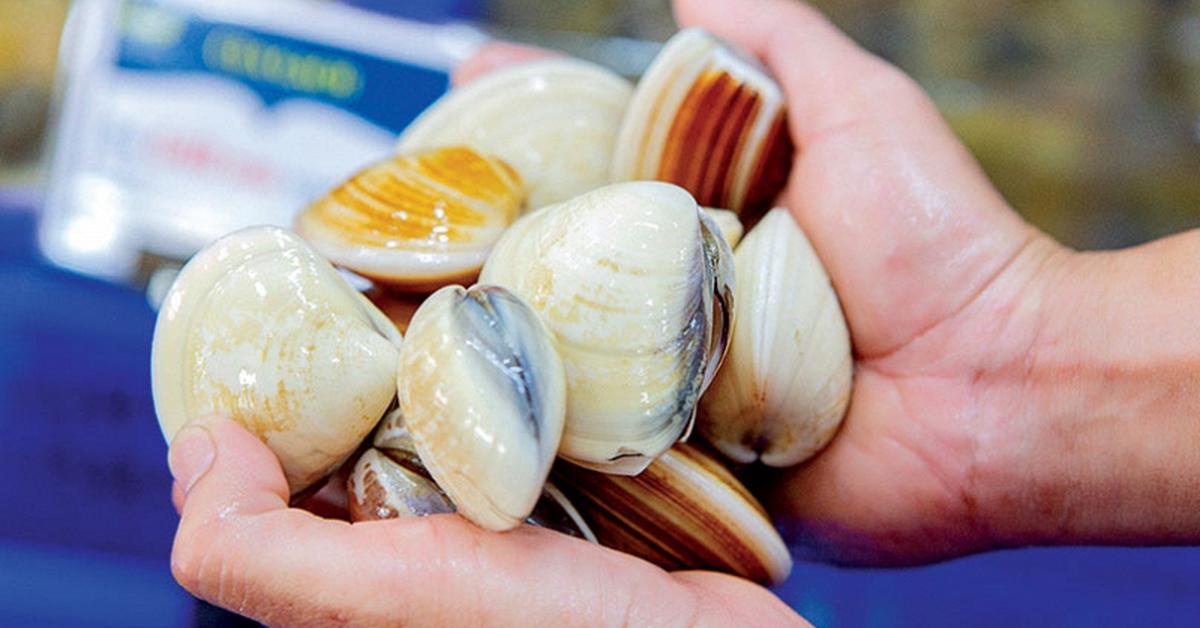 Chủ cửa hàng hải sản 30 năm nói thẳng: 4 loại ngao cho không cũng đừng lấy, ăn không ngon còn "rước bệnh vào thân"