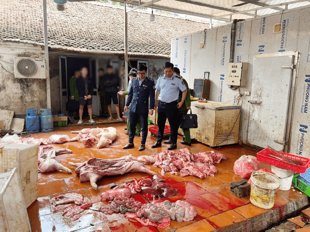 Phát hiện gần 1 tấn thịt lợn nghi nhiễm dịch tại Hưng Yên