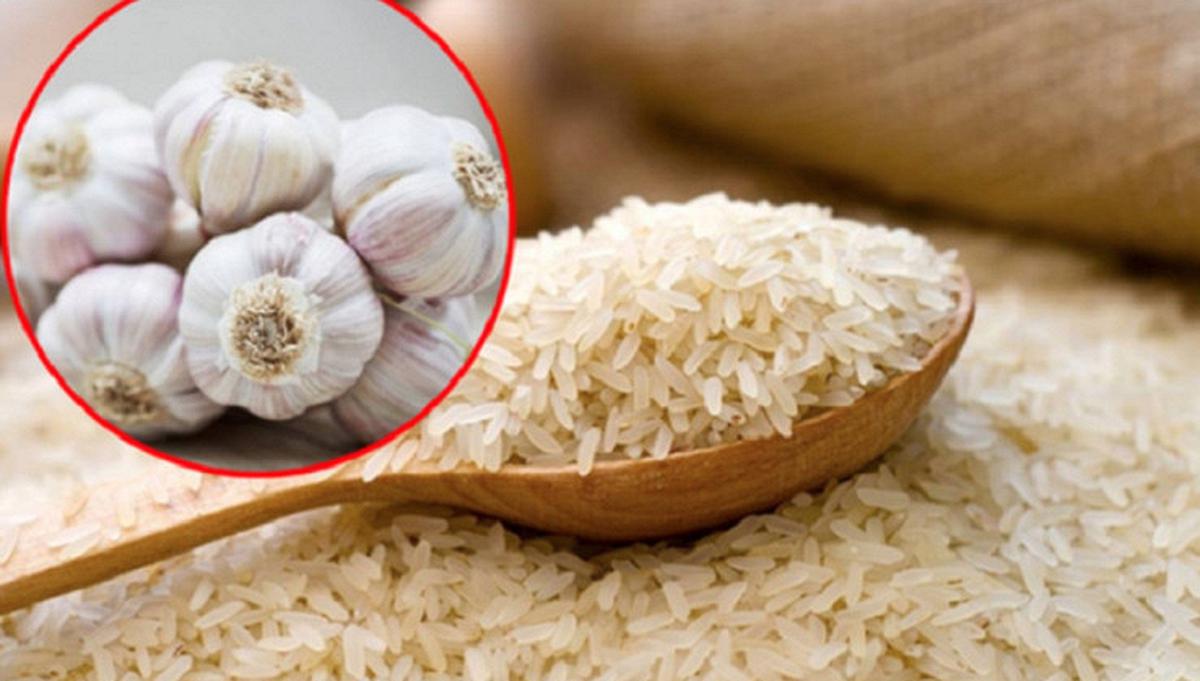 Nhiều người nhét tỏi vào thùng gạo hóa ra vì những lợi ích này