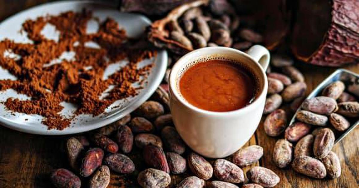 Ăn hàng trăm bát mì vẫn giữ dáng thon gọn, người phụ nữ Nhật Bản tiết lộ bí mật đốt mỡ là loại đồ uống bán đầy ở Việt Nam