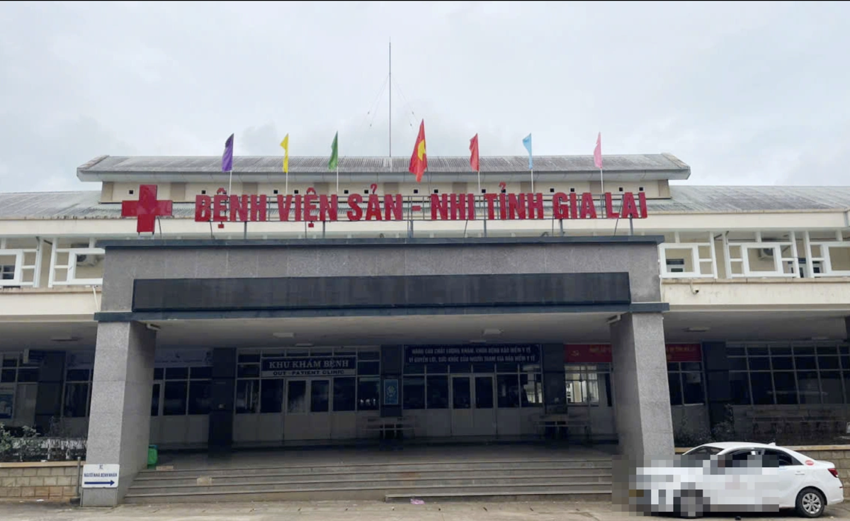 Gia Lai: Bé gái 4 tuổi tử vong vì bệnh dại sau thời gian thường xuyên ôm ấp, ngủ cùng mèo