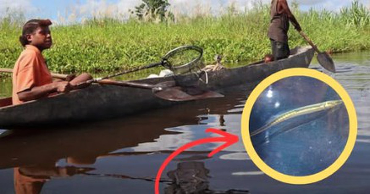 Sinh vật mất tích hơn 40 năm bất ngờ "sống lại": Người phụ nữ vô tình tìm thấy 2 con vào phút cuối