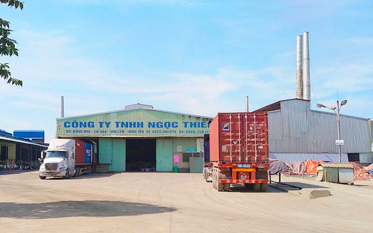 Nợ hơn 536 tỷ đồng liên quan đến thuế, một công ty có Phó Tổng giám đốc đang bị điều tra về tội lừa đảo