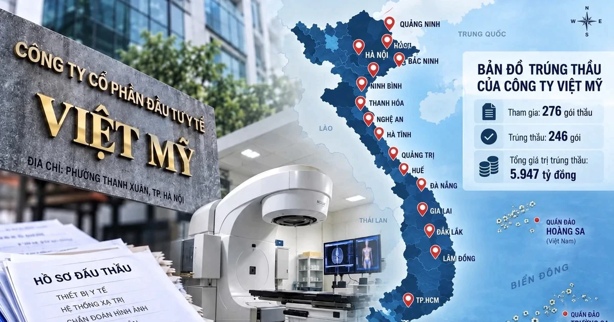 Bản đồ trúng thầu trải khắp các tỉnh, thành của Công ty Việt Mỹ