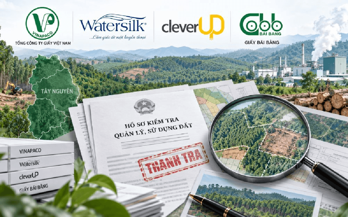 Doanh nghiệp sở hữu Watersilk, CleverUp, Giấy Bãi Bằng và đơn vị liên quan bị Thanh tra Chính phủ chỉ ra loạt vi phạm
