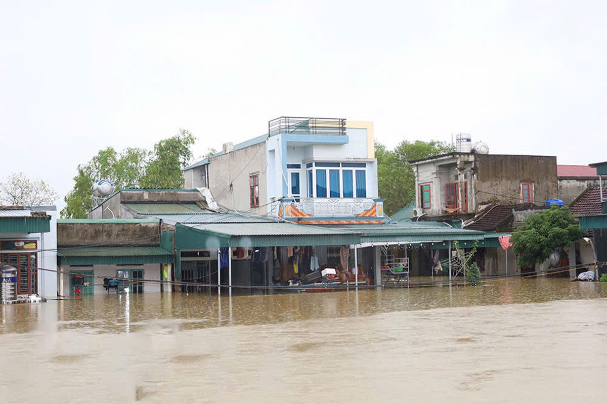 Lũ trên sông Hoàng Long đạt đỉnh, nhiều nhà dân Ninh Bình chìm trong biển nước