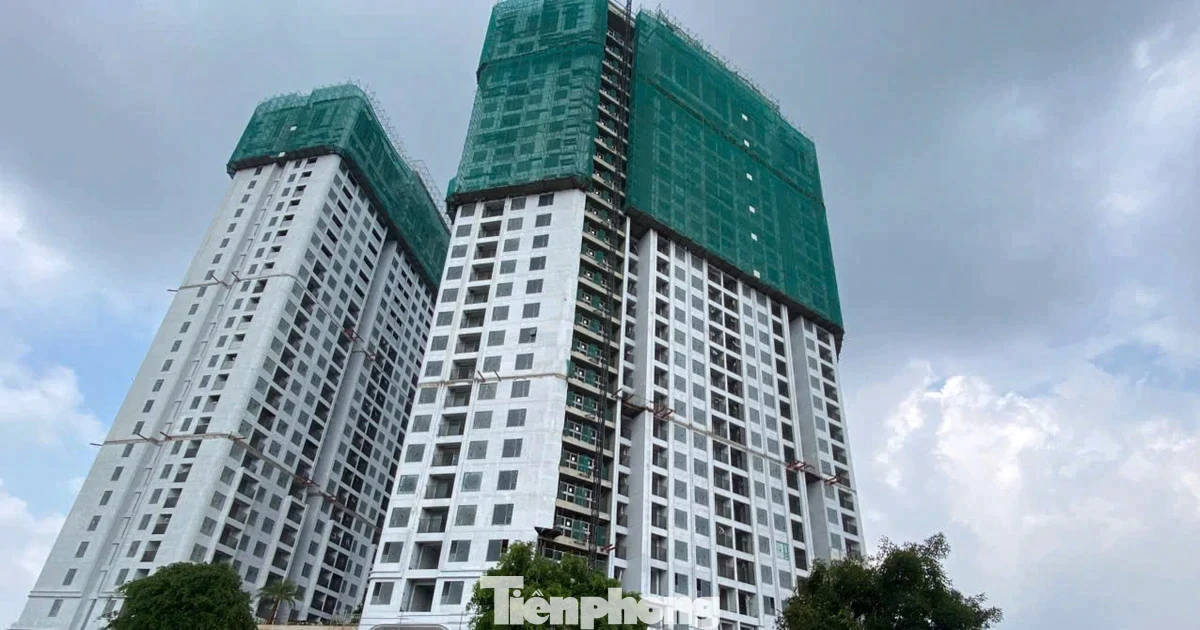 Giá nhà neo cao, doanh nghiệp "chăm khách" thế nào?