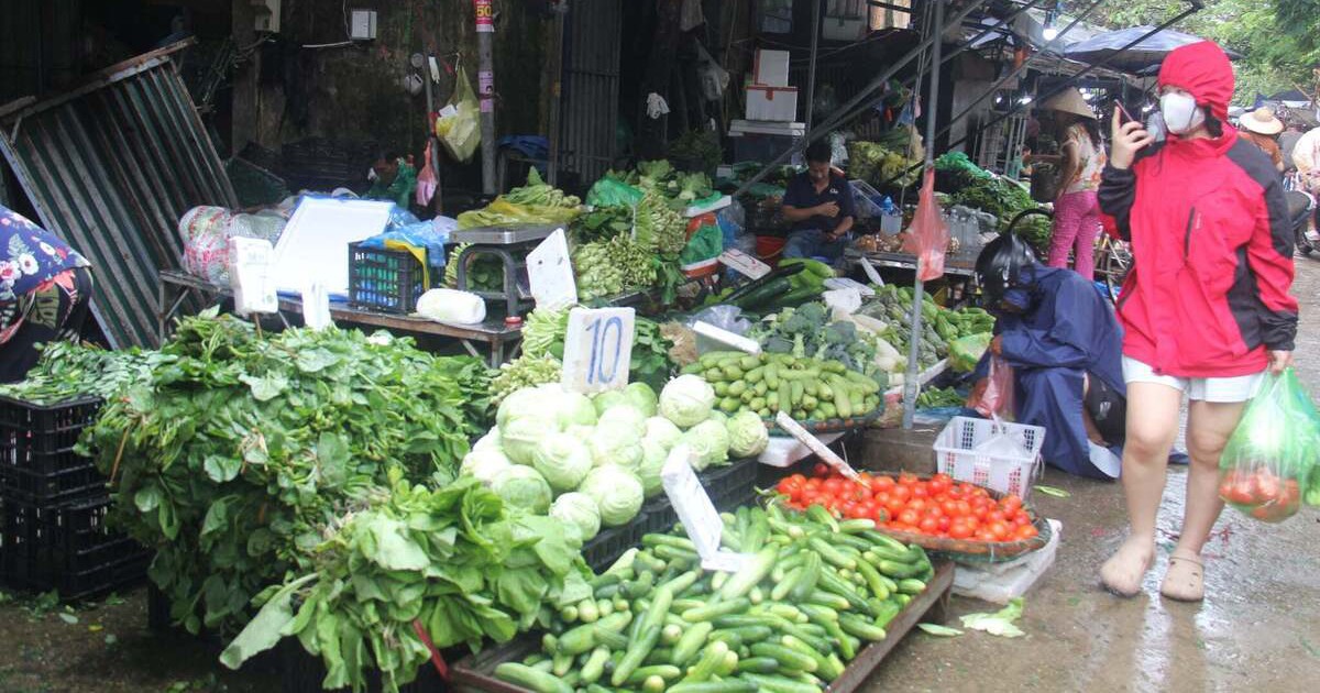 Giá rau xanh ở Hà Nội tăng vọt sau mưa lớn kéo dài