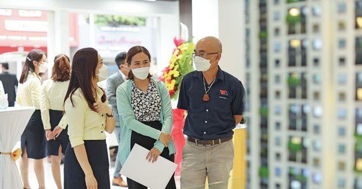 Từ lướt sóng sang khai thác: Chu kỳ mới của dòn...