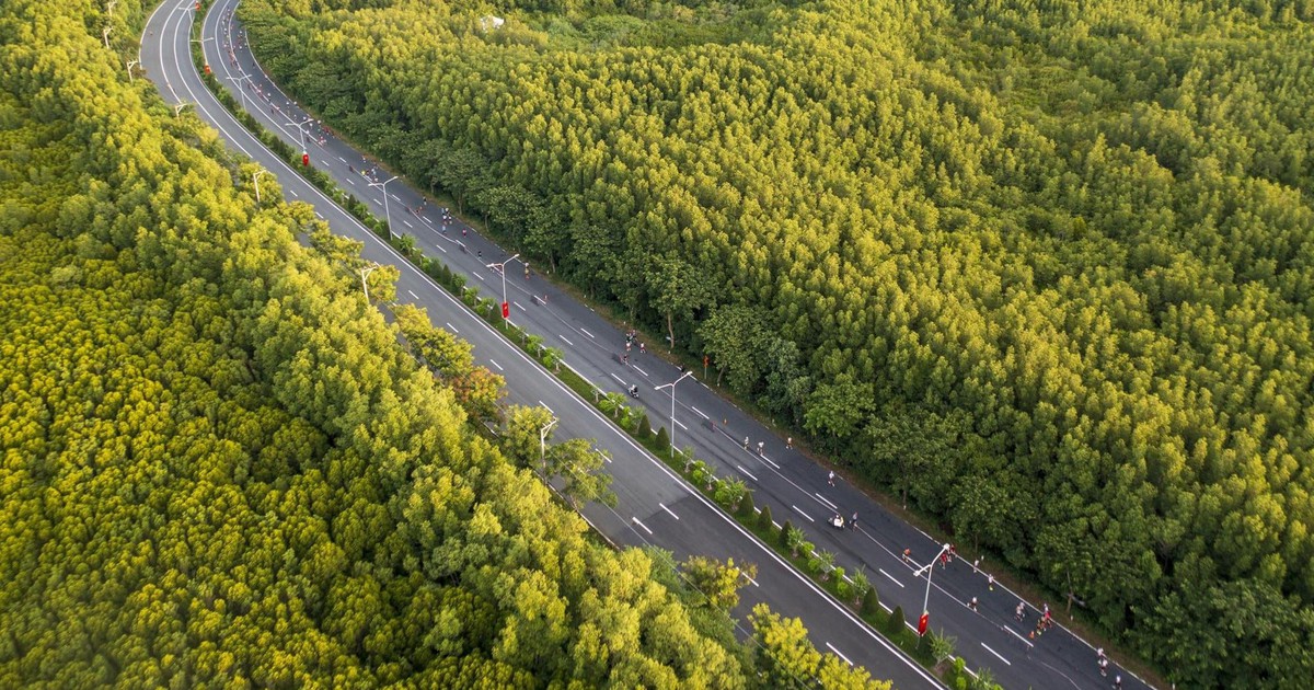 Thành viên Vingroup tính chuyện "lên đời" con đường dài hơn 35 km, hoàn thành năm 1986: Chạy xuyên vùng được UNESCO công nhận, đầu tư 19.000 tỷ đồng phát triển từ 6 thành 10 làn xe