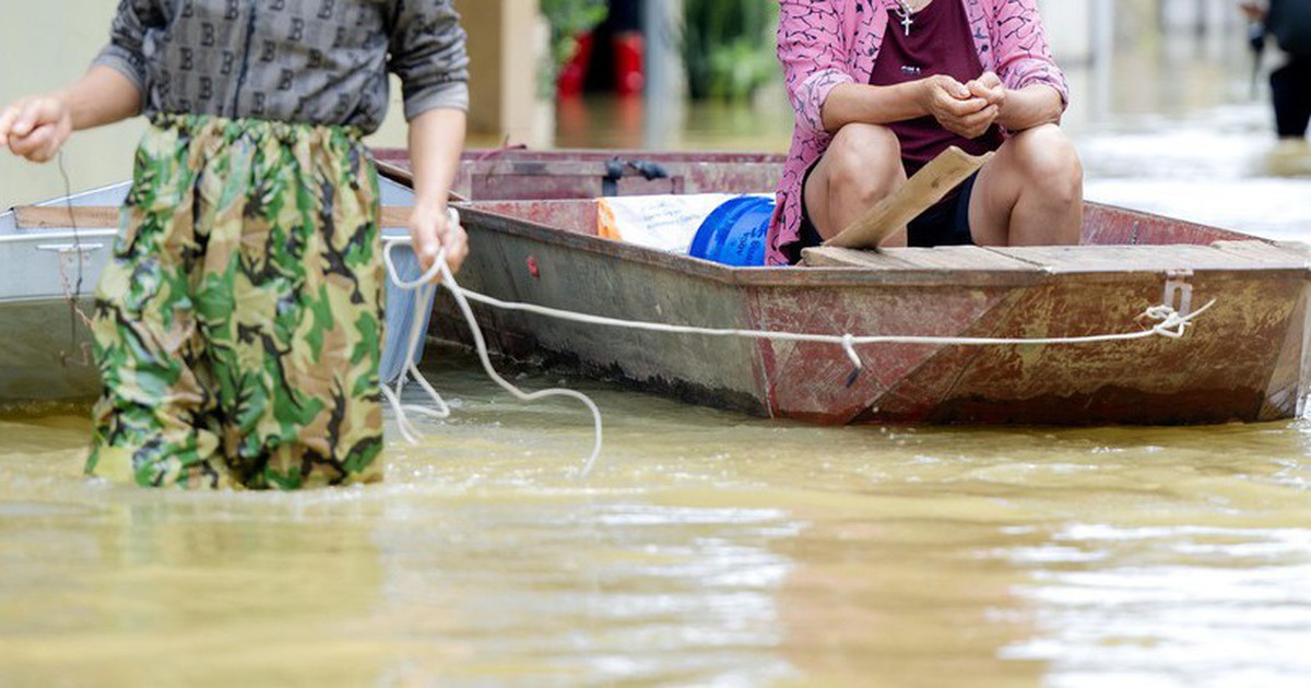 Biển nước bủa vây ngoại thành Hà Nội, hàng hóa tiền tỷ chìm trong nước: “Năm nay chẳng nghĩ gì đến Tết”