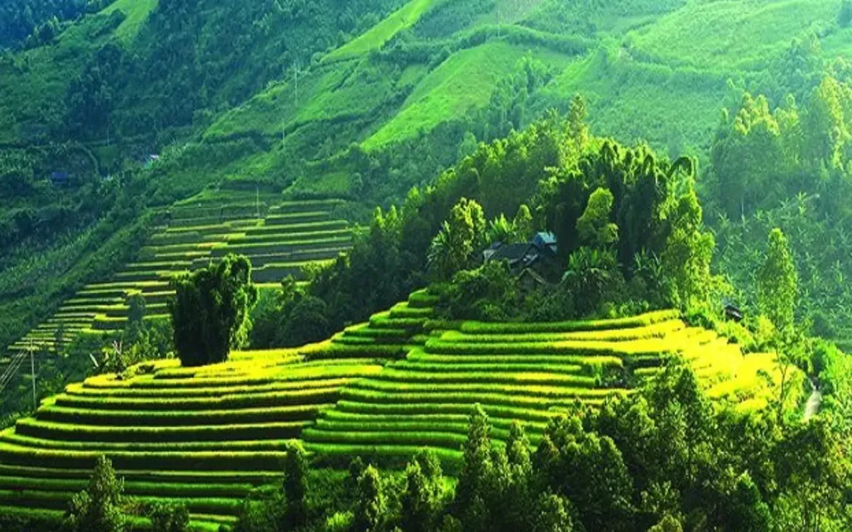 Ecopark Hải Dương và tỷ phú “ăn chay” Xuân Trường nhắm tới “viên ngọc xanh” của núi rừng Tây Bắc