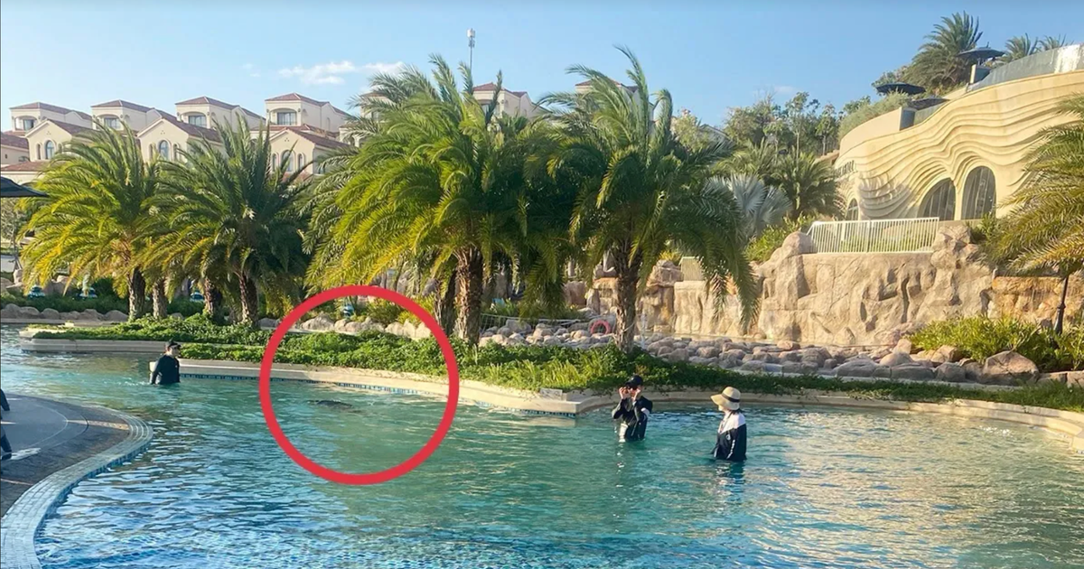 Vụ bé 11 tuổi người Nhật tử vong ở hồ bơi tại resort: Khởi tố bị can Nguyễn Quốc Quân SN 1961