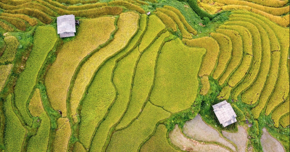 Việt Nam có “tòa tháp xanh 121 tầng” giữa núi: Không xây bằng bê tông, nằm ở điểm đến hàng triệu khách mỗi năm