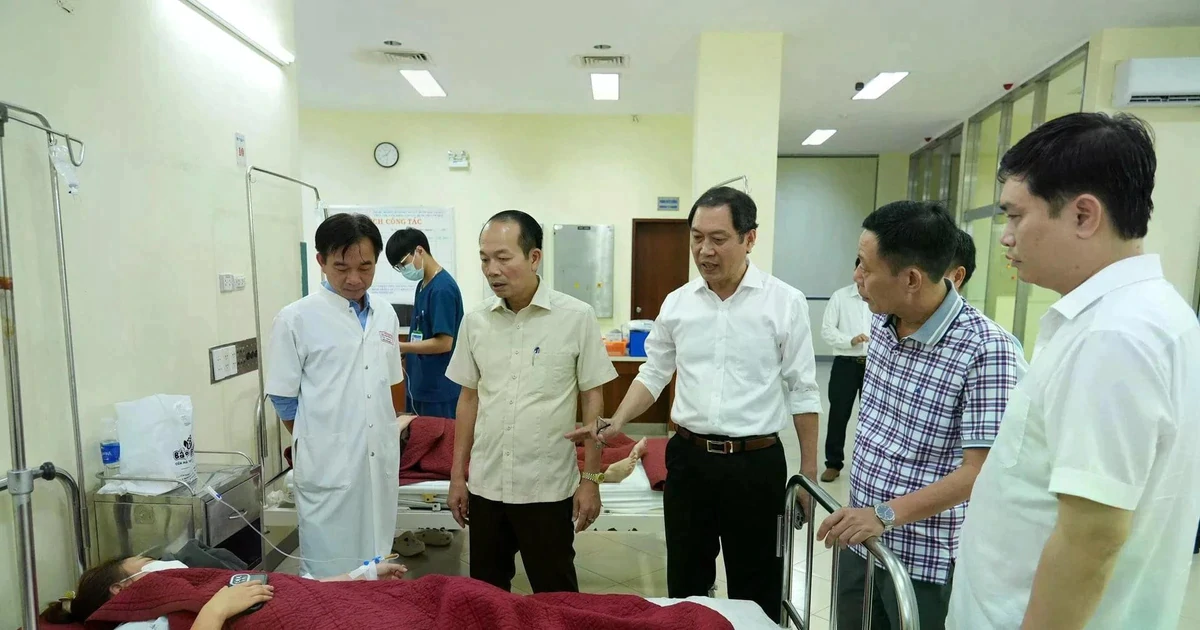 Phát hiện vi khuẩn E. coli và Bacillus cereus trong món ăn khiến 222 người ngộ độc ở Huế