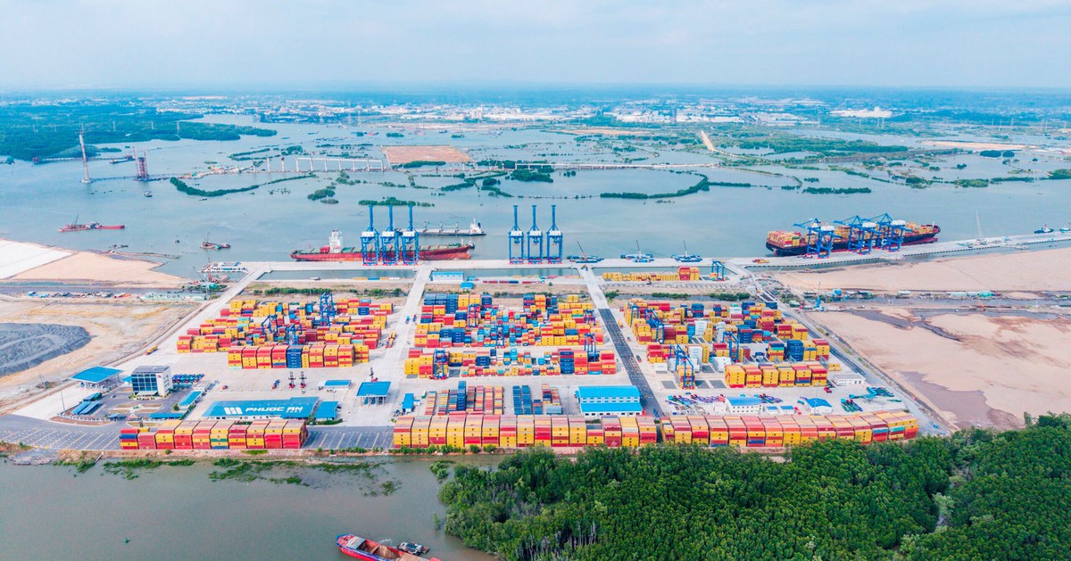 Cảng Phước An (PAP) dự kiến lỗ hơn 5.400 tỷ đồng, không chia cổ tức giai đoạn 2026–2030