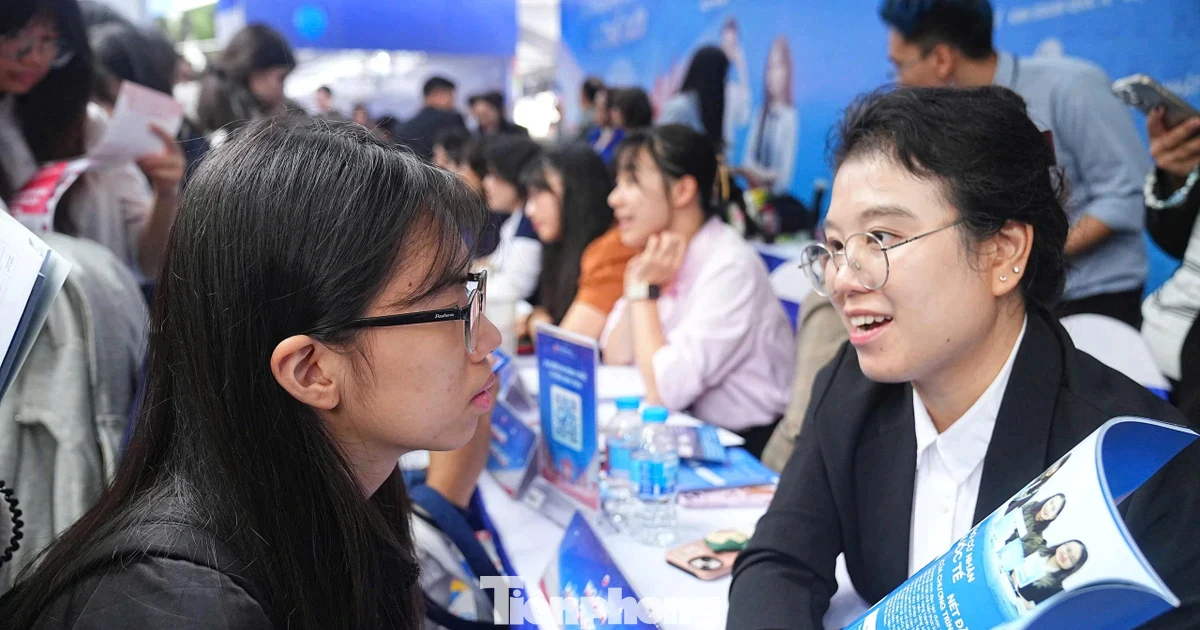 Bỏ cộng điểm chứng chỉ IELTS: Miếng bánh nghìn tỉ sẽ ra sao?